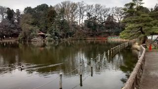 閑静な高級住宅街に囲まれていて、武蔵野の面影が色濃く残る