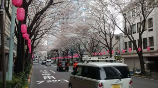 桜まつりがあって、たくさんの人々で賑わいます