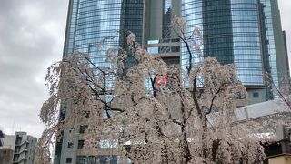 斬新でモダンな建築様式