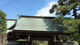 門の横の松が見事