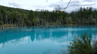 天気が良ければ青い池