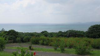 海・山・花の景色