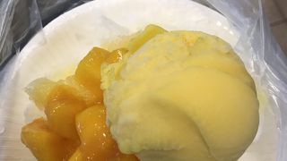 ANAわくわくチケットで