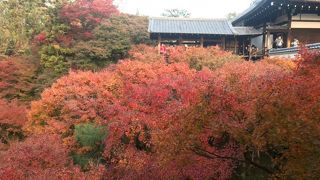 あまりに有名な紅葉スポット