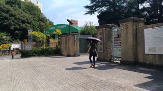 秋にくるのははじめて