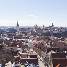 タリン旧市街地が一望できる高所