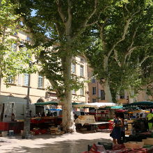 リシュルム広場の朝市