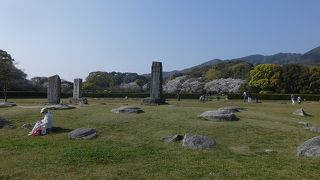 気持ちのいい芝生公園