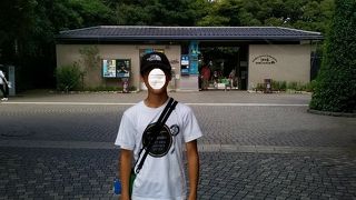 苑内に江の島・シーキャンドル(灯台)が聳え立ち遠くを照らします!!