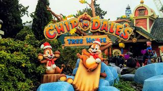 お子様向けの小さなツリーハウス