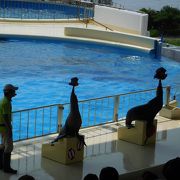 なかなか充実した水族館