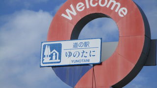 イワナ塩焼が美味しかったです。