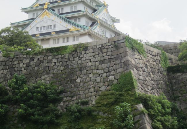 天下一の黄金の和船大阪城御座船 クチコミ アクセス 営業時間 大阪城 京橋 フォートラベル 天下一の黄金の和船大阪城御座船 クチコミ アクセス 営業時間 大阪城 京橋 フォートラベル