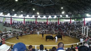 闘牛の島の立派な施設