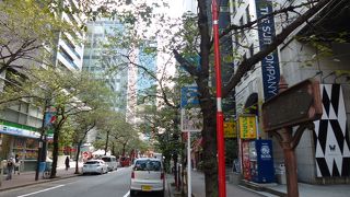 たしかに桜の木がたくさん