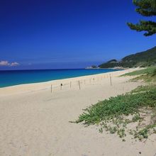 なんという白さでしょ？