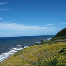 思い切り深呼吸しました