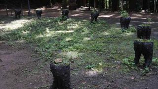 今年（2019年）は終了