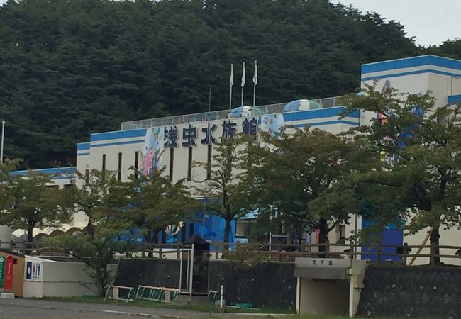 浅虫水族館 クチコミ アクセス 営業時間 浅虫温泉 フォートラベル