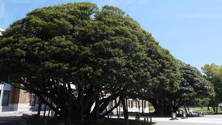 しいのき迎賓館の玄関前