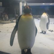 屋内型の水族館