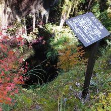 高千穂峡の中では今ひとつのスポット。