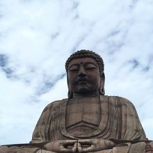 下から見上げると迫力があります