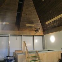 源泉かけ流し温泉。　もともとは洋ランの温室?!