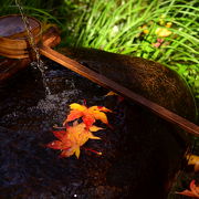 木々茂る庭が魅力の祇王寺