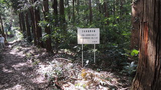 大和市と相模原市の境