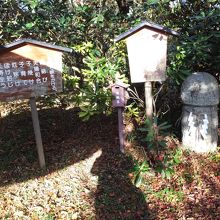 まあ、こういうものも。