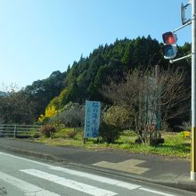 最初はこの看板から、でした。