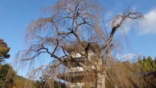 山奥にすばらしい景色