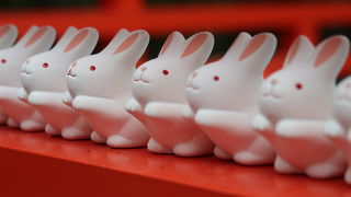 うさぎが可愛い