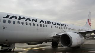 国内線は使いづらい…