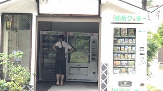 小田原城の近くのクッキーの自販機