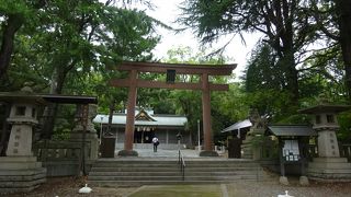 和歌山城内の南側丘陵地に