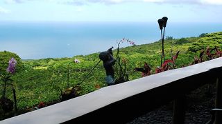 絶景のコーヒー農園