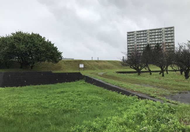 多賀城跡：館前遺跡