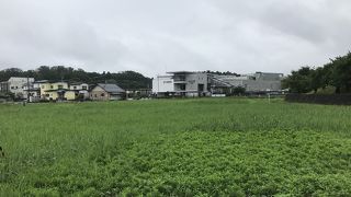 東北本線国府多賀城駅：多賀城跡には