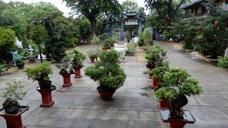 庭園のような境内