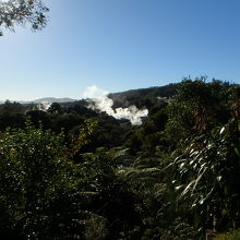 園内はかなり広い。湯気の上がっているところが間欠泉