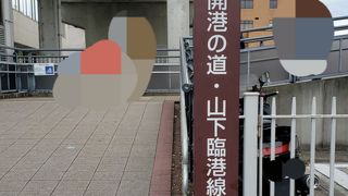 歩きやすく眺めも良いです