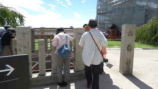 お金を投げ入れる必要はありません