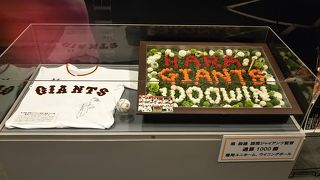 野球殿堂博物館9月