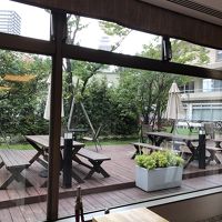 一階の受付カウンター前のロビーから中庭を見る