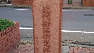 当時は柳や松だった