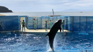 イベントが充実してます