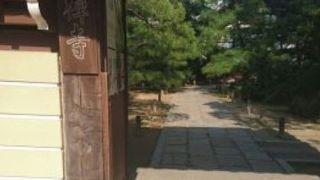 眼前は承天寺通りと言うなの綺麗な散歩道になっています。