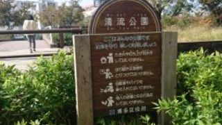 那珂川の中州の南端にある公園
